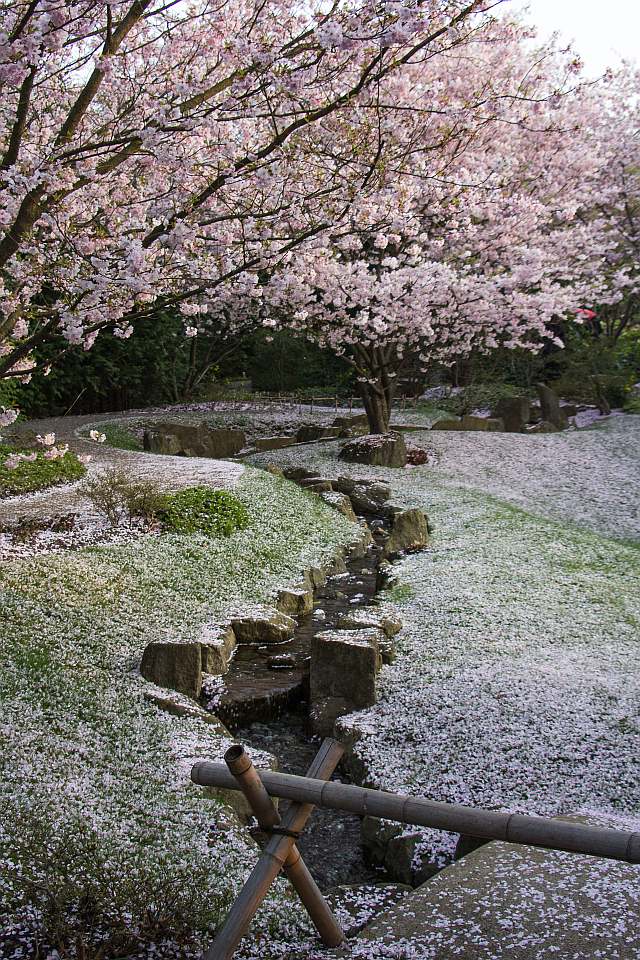 Abendstimmung im Japanischen Garten