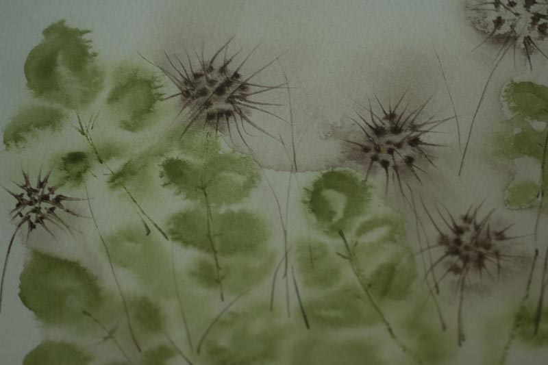 Stacheln&uuml;sschen